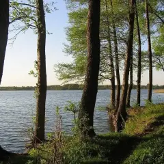 Jezioro Słupeckie: piękne miejsce na wypoczynek i wędkarstwo