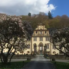 Prachtvolles Schloss Engelskirchen im Frühling, umrahmt von blühenden Magnolienbäumen.