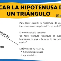 Un triángulo rectángulo muestra la hipotenusa, el lado más largo, y los catetos. Se explica qué es la hipotenusa usando el Teorema de Pitágoras.
