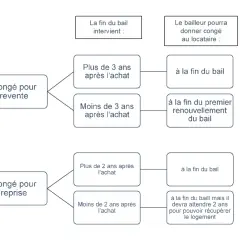 Schéma expliquant les conditions de préavis logement privé pour congé pour vente ou reprise après acquisition d'un bien occupé.
