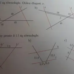 Rysunki geometryczne z zadaniami dotyczącymi prostych równoległych i ich długości.