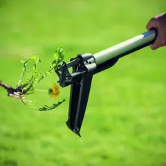 Dłoń trzyma narzędzie do usuwania chwastów z wyrwanym mniszkiem lekarskim na tle zielonej trawy.