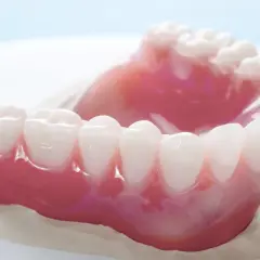 Un primo piano di una dentiera rosa con denti bianchi. La dentiera mi fa vomitare.