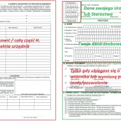 Jak wypełnić wniosek o wydanie prawa jazdy bez błędów i stresu