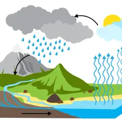 Jak żyła wodna wpływa na środowisko i geologię w Twojej okolicy