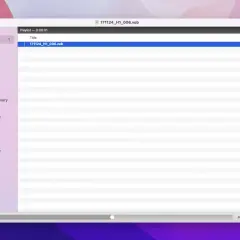 A media player window on a Mac shows a playlist with a .vob file, demonstrating how to play vob files on Mac.