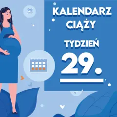 Kobieta w 29 tygodniu ciąży, z brzuszkiem. Obok kalendarz i napis "Kalendarz ciąży tydzień 29".
