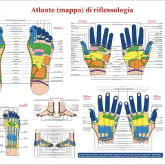 Mappa punti agopuntura mano e piedi, con zone riflesse e correlazioni corporee.
