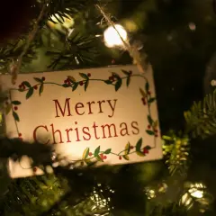 Un cartello appeso all'albero di Natale con la scritta "Merry Christmas" in inglese, circondato da lucine e rami.