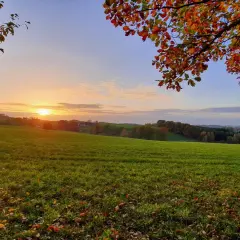 Herbstlicher Sonnenuntergang über grünen Feldern, ideal für eine Tour auf dem bergischen Weg mit Komoot.