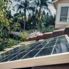Panel solarny na dachu, obok palm. Czy lampa solarna ładuje się od żarówki? Nie, potrzebuje słońca.