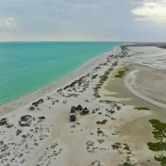 Pustynna plaża z turkusową wodą, gdzie jest Oman. Obóz z samochodami terenowymi i namiotem na piasku.