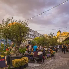 Ambiance festive en soirée, avec des gens attablés sous des guirlandes lumineuses. Un grand olivier trône au milieu, comme le "ground control" de cette joyeuse assemblée.