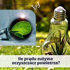 Ile prądu zużywa odświeżacz powietrza? Roczny koszt zaskakuje!