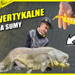 Przynęta na suma: Jak przechytrzyć "wąsatego króla"? Poradnik