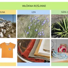 Jakie są włókna roślinne? Odkryj ich właściwości i zastosowanie