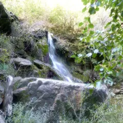 Cascata nella riserva naturale di Monterufoli-Caselli, con rocce muschiose e vegetazione lussureggiante.