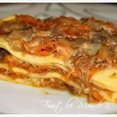 Une généreuse part de lasagne de canard, avec ses couches de pâtes, de viande effilochée et de sauce aux carottes, prête à être dégustée.