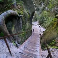 Zimowe skalne miasto w Czechach. Śnieg pokrywa schody i korzenie drzew, tworząc magiczny krajobraz.