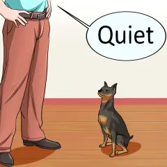 Ein Hund bellt mich an, wenn ihm was nicht passt. Hier sagt er "Quiet".