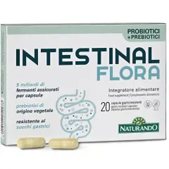Medicamentos para la flora intestinal que mejoran tu salud digestiva