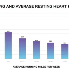 Balkendiagramm zeigt, wieviel km joggen ist gesund: Je mehr Meilen pro Woche, desto niedriger der Ruhepuls.