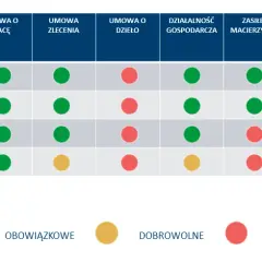 Wynagrodzenie za praktyki: Kto płaci i jakie masz prawa?
