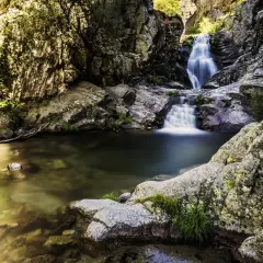 Cascadas escondidas cerca de Madrid, con agua cristalina cayendo entre rocas cubiertas de musgo y vegetación exuberante.