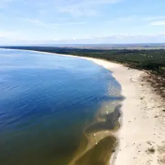 Szeroka, piaszczysta plaża Mikoszewo ciągnie się wzdłuż spokojnego morza, a za nią rozciąga się gęsty las.