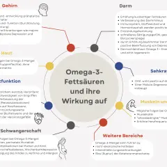 Omega-3-Fettsäuren wirken auf Gehirn, Haut, Herz, Darm, Sehkraft, Muskeln & Sport, Schwangerschaft. Die genaue Zeit, wie lange dauert es bis Omega-3 wirkt, variiert.