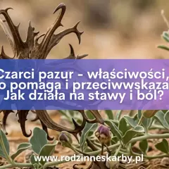 Dzikie pnącza i kwiaty otaczają zasuszone gałązki, przypominające czarci pazur. Tekst informuje o jego właściwościach i działaniu na stawy.