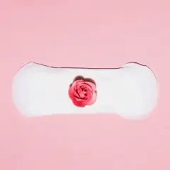 Delikatne plamienie implantacyjne, jak subtelny różany pączek na białym podkładzie, symbolizuje początek nowego życia.