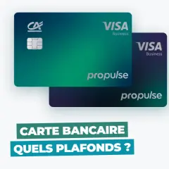 Deux cartes Visa Business "Propulse" aux dégradés verts et violets. La question "Quels plafonds ?" apparaît en bas, suggérant une gestion des dépenses sur 30 jours glissants.