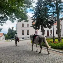 Najlepsze stadniny koni w Wołominie - sprawdź oferty i opinie