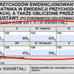 Jak wypełnić PIT 28 za wynajem mieszkania bez błędów i stresu