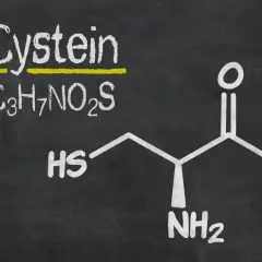 Struktura chemiczna cysteiny, aminokwasu zawierającego siarkę, z wzorem C₃H₇NO₂S.