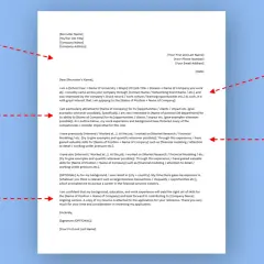 Exemple de lettre de motivation structurée : en-tête, pourquoi cette entreprise, pourquoi vous, et conclusion.