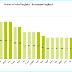 Balkendiagramm zeigt Brennwerte von Holzarten. Fichte hat 4,5 kWh/kg, ist aber kein Hartholz.