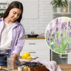 Kobieta przygotowuje napój z cytryną i lawendą. Jak jeść endywię? Może jako dodatek do napoju?
