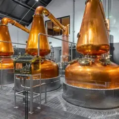 Alambics en cuivre brillants dans une distillerie, prêts à produire le meilleur whisky de Dublin.