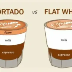 Illustration visar skillnaden mellan flat white och cortado. Cortadon har ett lager skum, medan flat white har mer mjölk.