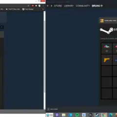 Na ekranie Steam widać przedmioty z gry, w tym 560 klejnotów na worek.