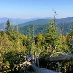 Stare Wierchy Turbacz: Łatwy szlak z widokiem na Tatry przewodnik