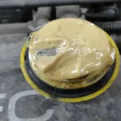 Gros plan sur un bouchon moteur couvert d'une substance jaune pâle ressemblant à de la mayonnaise, signe d'un joint de culasse défectueux.