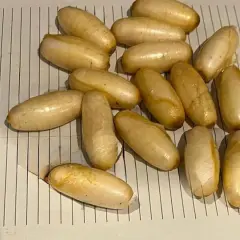 Kapsułki z podejrzaną substancją na papierze w linie.