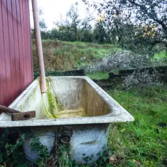 Oczko wodne z wanny, obok czerwonej ściany, z młotkiem na brzegu. W tle zielona trawa i drzewa.