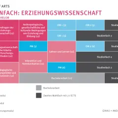 Studienverlaufsplan für das Bildungswissenschaften Studium im Zwei-Fach-Bachelor. Zeigt Module über sechs Semester.