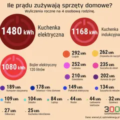 Ile zużywasz prądu miesięcznie? Sprawdź i obniż rachunki!