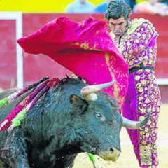 Morante de la Puebla, con su traje de luces, se enfrenta a un toro bravo en la arena.