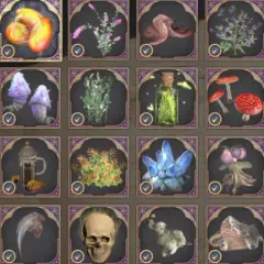 Hauch der Toten Hogwarts Legacy: Zutaten wie glühende Früchte, Pilze, Kristalle und ein Totenkopf.